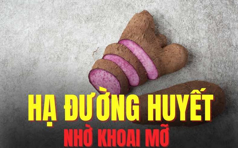 Fatty potatoes can effectively help lower blood sugar. Graphics: Tra My
