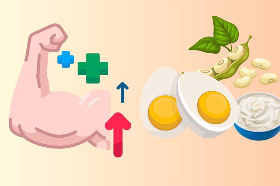 Protein requirements change with each stage of life. Graphics: Dinh Dinh