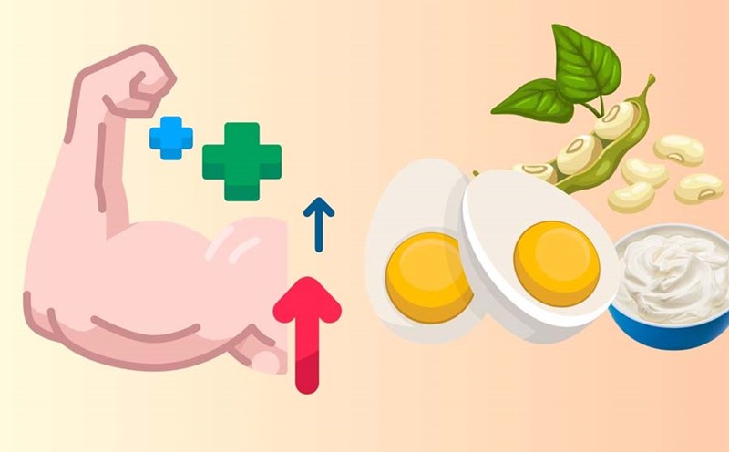 Protein requirements change with each stage of life. Graphics: Dinh Dinh
