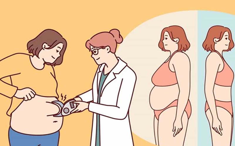 New research reveals a special type of fat cells that make the body more likely to store belly fat after middle age. Graphics: Hoang Loc