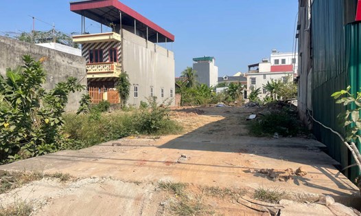 Phân khúc đất nền ở vùng ven Hà Nội đang được nhiều nhà đầu tư quan tâm. Ảnh: Thu Giang