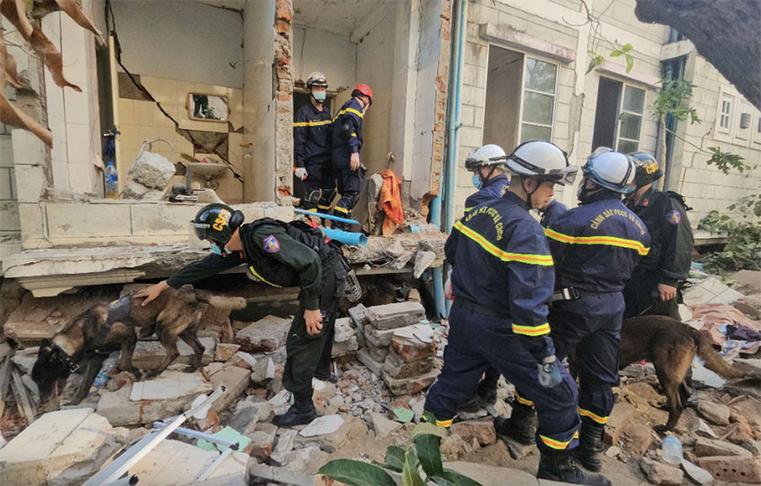The two professional dogs Bin and King when participating in the search for victims with the Vietnamese police officers in Myanmar. Photo: Le Hoang