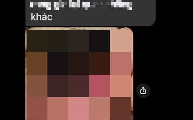 The sensitive image is said to be of a female principal of a kindergarten in Krong Nang district (Dak Lak province). Photo: Long Du