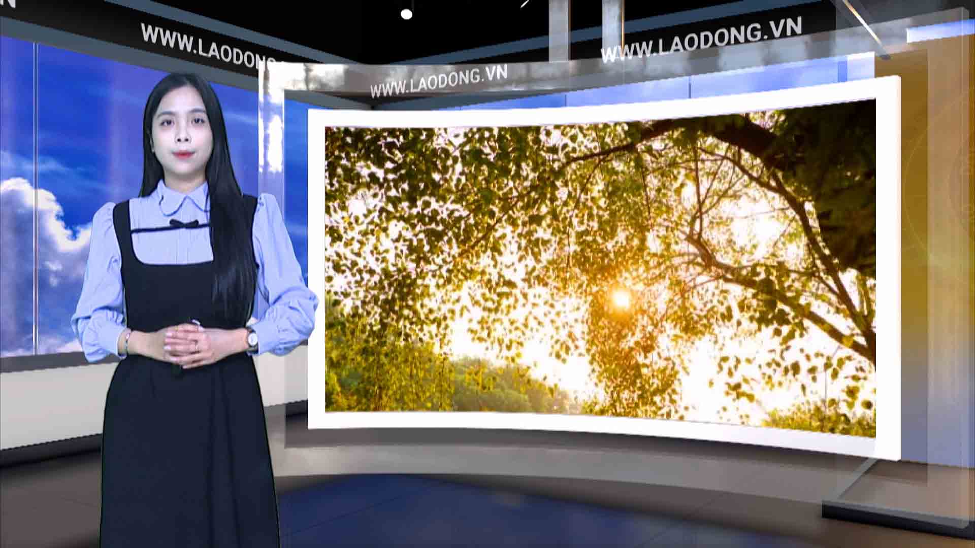 El pronostico para esta noche y mañana es de 4.4