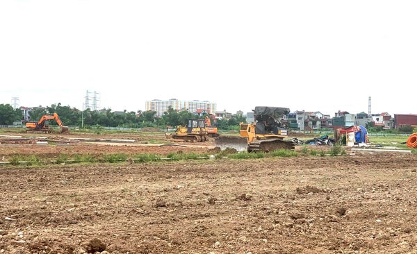 Deputy Minister of Agriculture and Environment Nguyen Thi Phuong Hoa requested the People's Committee of Bac Giang province to direct the final settlement of land complaints and denunciations. Illustrative photo: Bac Giang Electronic Information Portal