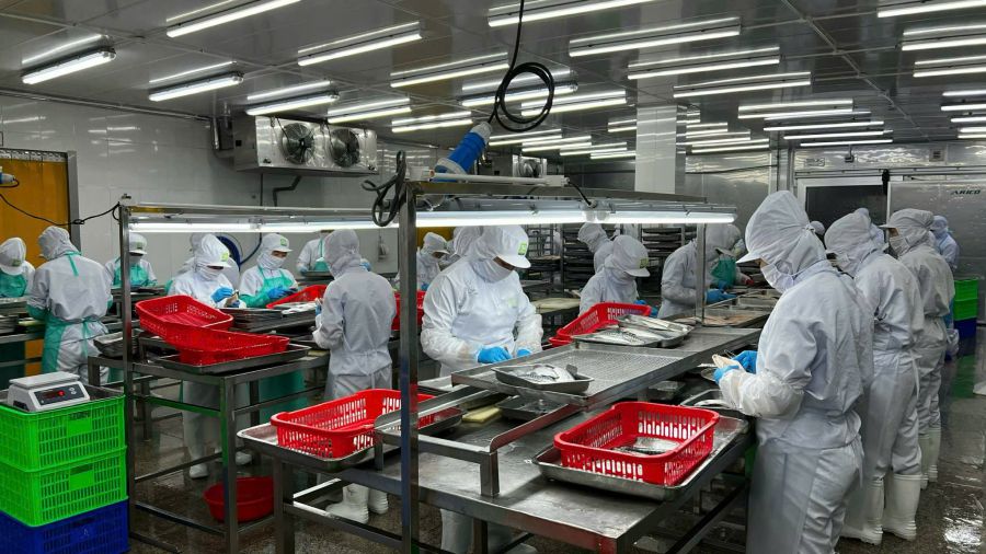 The private economy will help double-digit growth and help Vietnam rise. Photo: Ngoc Le