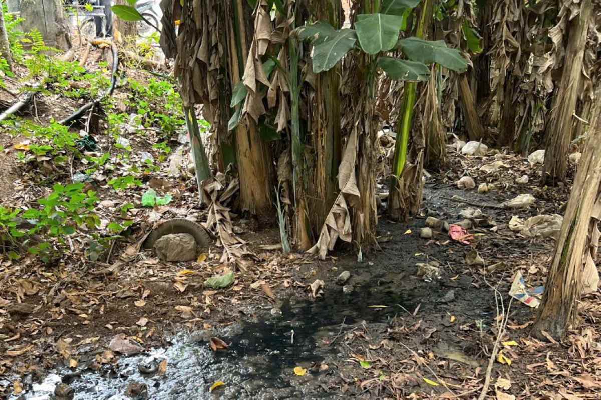 Escenario donde los vehiculos conectan las tuberias de escape al rio Dinh. Imagen de la CACC