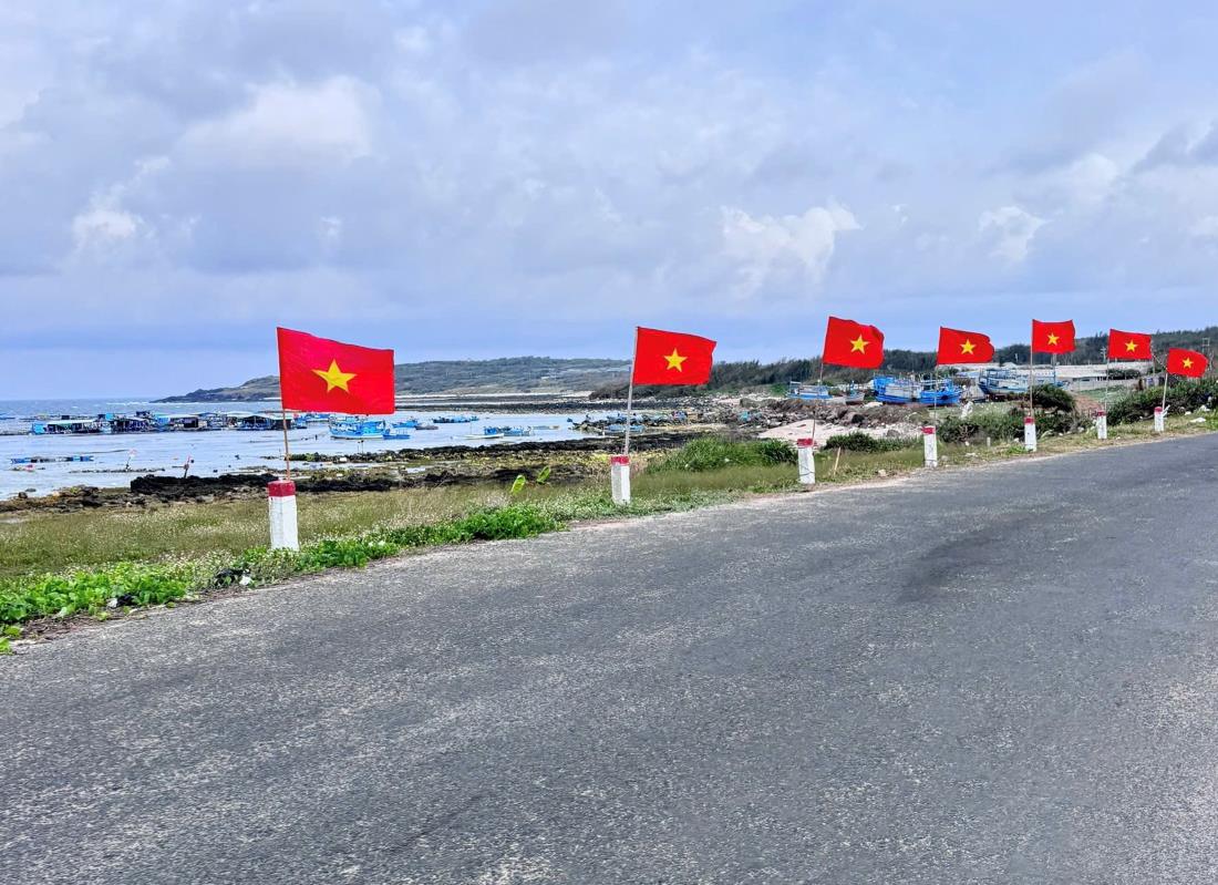 Nhung ke bien o xa Tam Thanh, Long Hai duoc cam co to quoc do ruc. Tu ngoai bien nhin vao co the thay nhung hang co tung bay. Anh: Duy Tuan