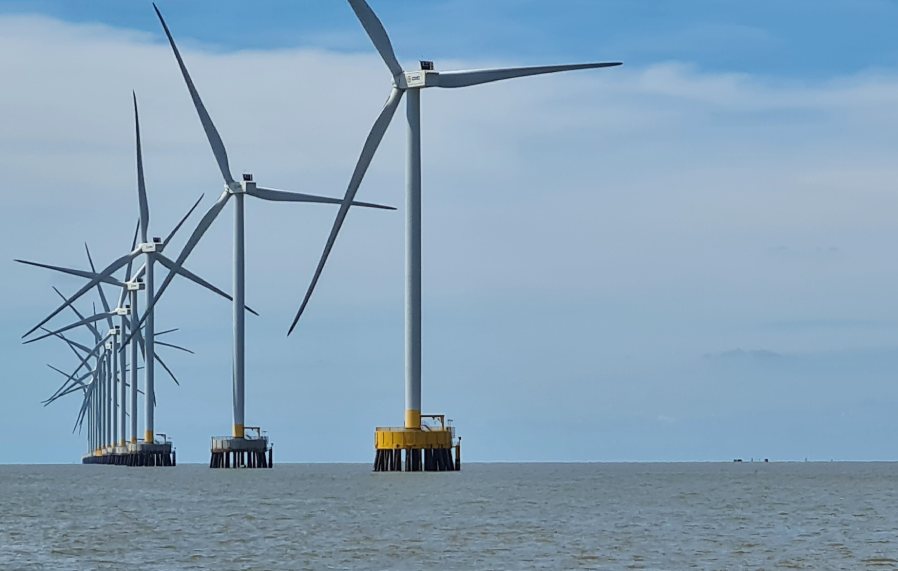 Wind power in Bac Lieu has contributed to sustainable budget revenue for the province. Photo: Nhat Ho