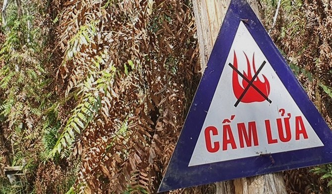 On 36,500 hectares of dry forest, Ca Mau province recommends not to ignore it. Photo: Nhat Ho