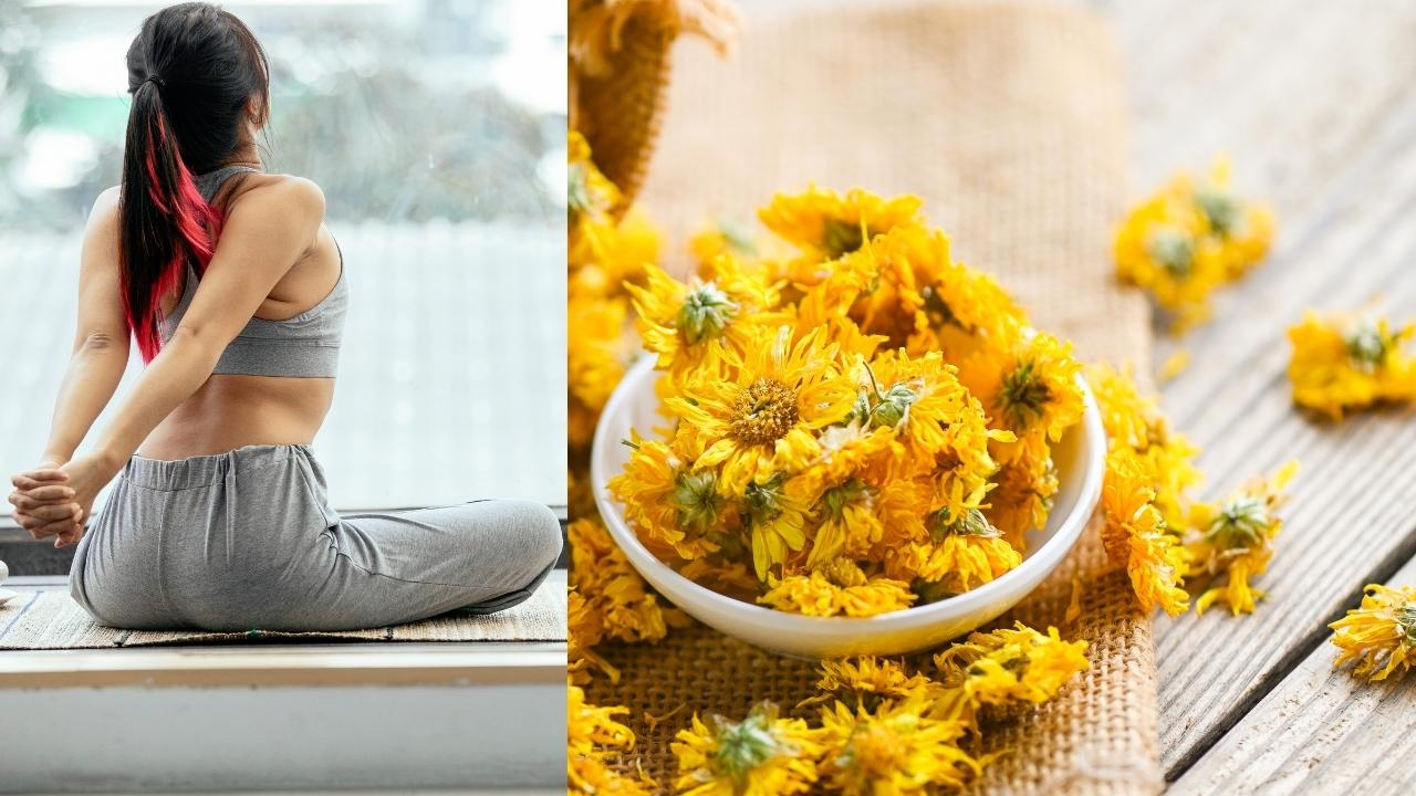 Graphics: Thuy Duong