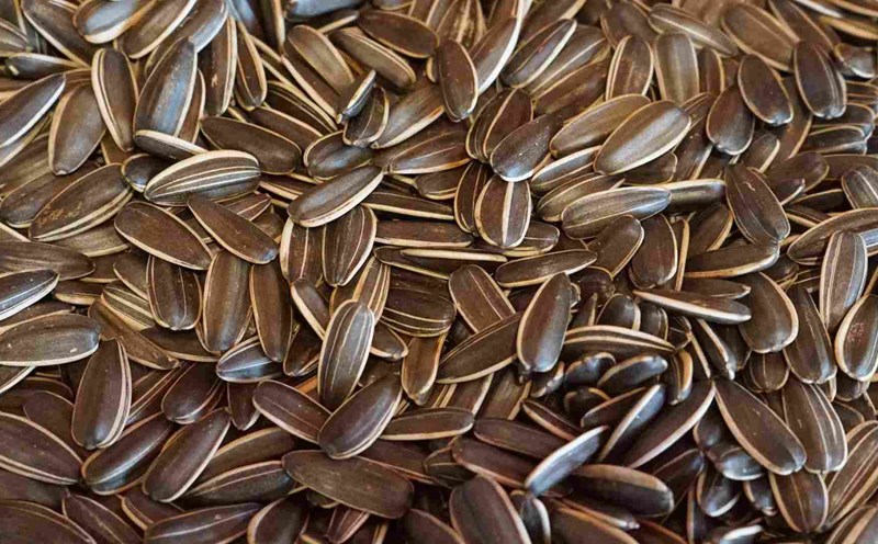 Sunflower seeds help enhance the body's anti-poisoning ability. Photo: Thanh Thanh