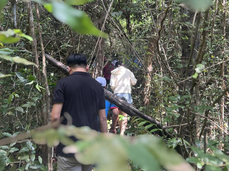 Cuando se vaya al bosque, la gente debe equiparse con medios de proteccion para evitar la picadura de insectos o criaturas que chupan sangre. Imagen de la pagina