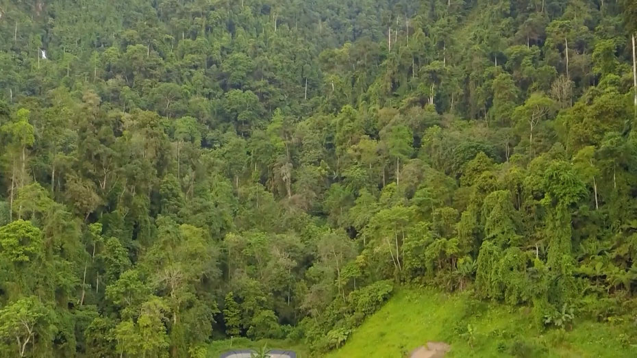 Nhung canh rung nguyen sinh tai khu bao ton thien nhien Na Hau duoc ba con bao ve nghiem ngat