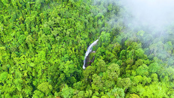 El Parque Natural de Nahuel es famoso por su enorme riqueza ecologica. Imagen de An Vi