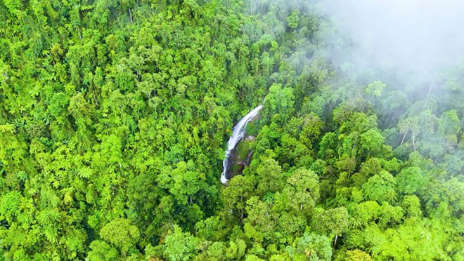 Tận thấy những kho báu giữa trời tại rừng nguyên sinh Nà Hẩu