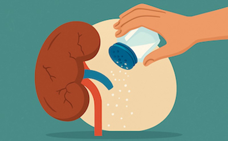 The habit of eating salty foods is very harmful to the kidneys. Graphics: Thuy Linh.