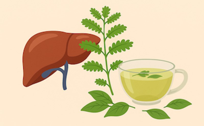 Assia pipes help purify the body effectively. Graphics: Thuy Linh.