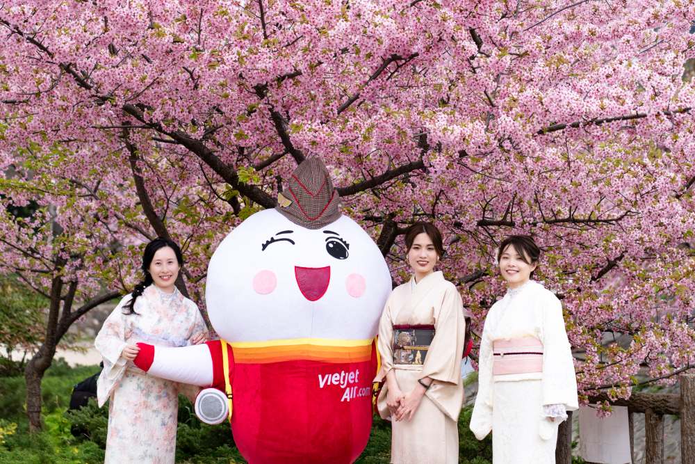 Amy aircraft stir up the Japanese cherry blossom festival. Photo: Vietjet