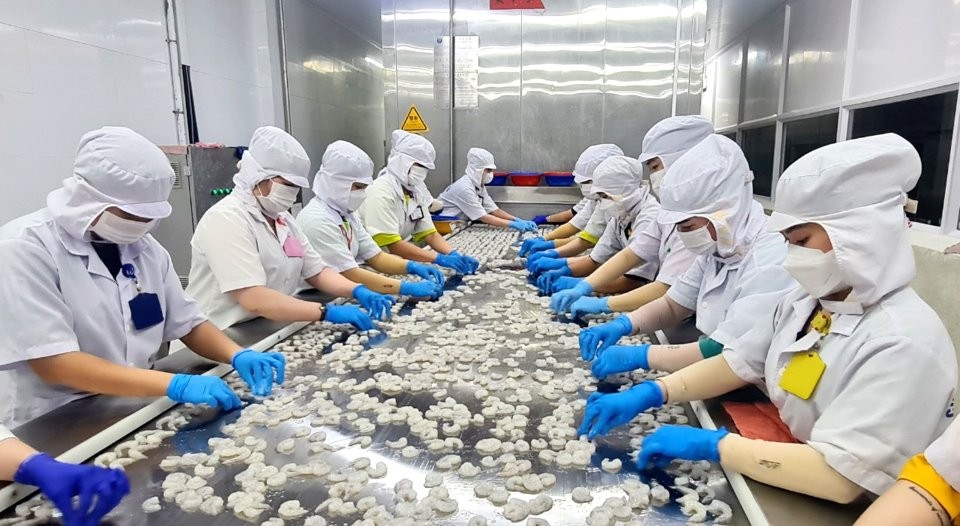 The seafood industry in Ca Mau is said to be strongly affected when the US imposes new tariffs. Photo: Ca Mau website