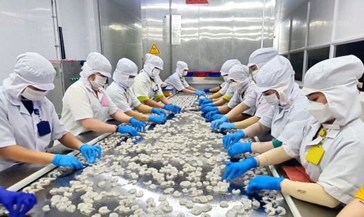 Ngành thuỷ sản tại Cà Mau được cho là chịu tác động mạnh khi Hoa Kỳ áp mức thuế mới. Ảnh: Cỗng TTĐT Cà Mau