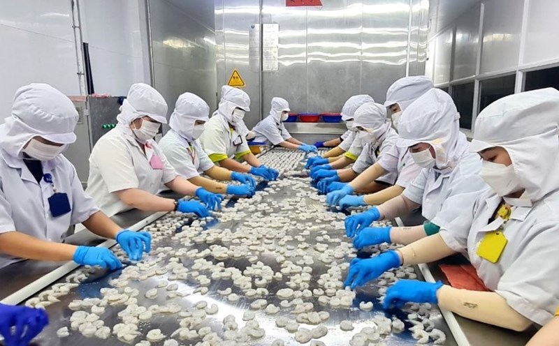 The seafood industry in Ca Mau is said to be strongly affected when the US imposes new tariffs. Photo: Ca Mau website