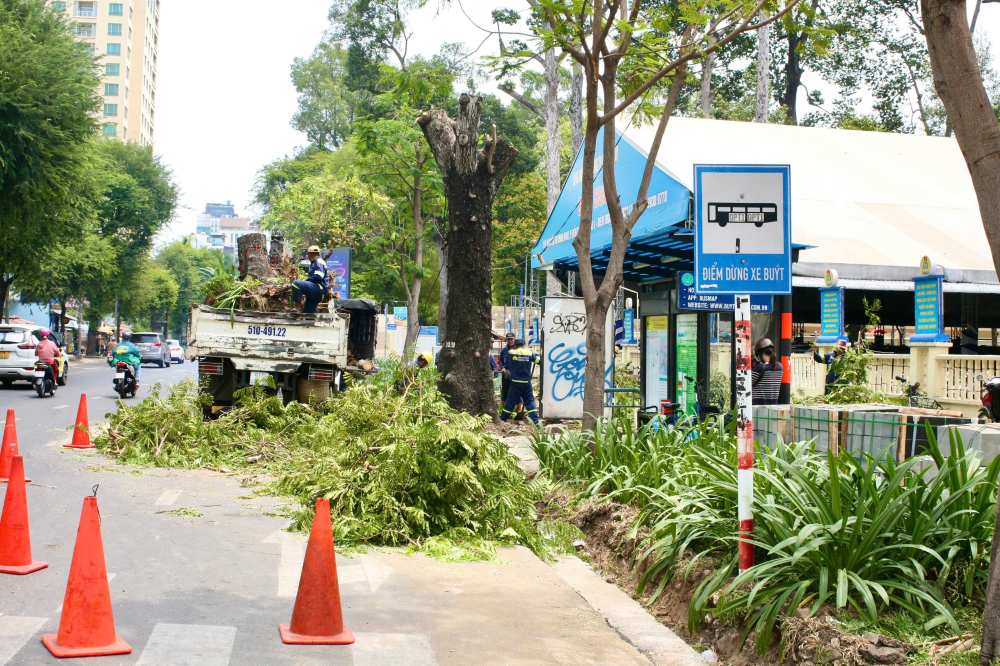 Trees were cut down due to the impact of sidewalk construction on Nguyen Thi Minh Khai Street (District 1, Ho Chi Minh City). Photo: Minh Tam