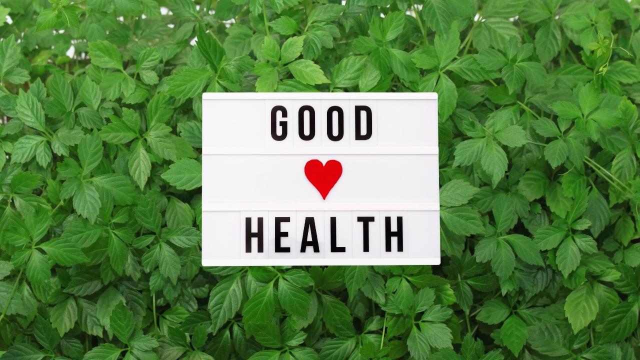 Herbs that are better than green tea, available in our country