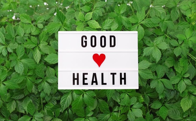 Herbs that are better than green tea, available in our country