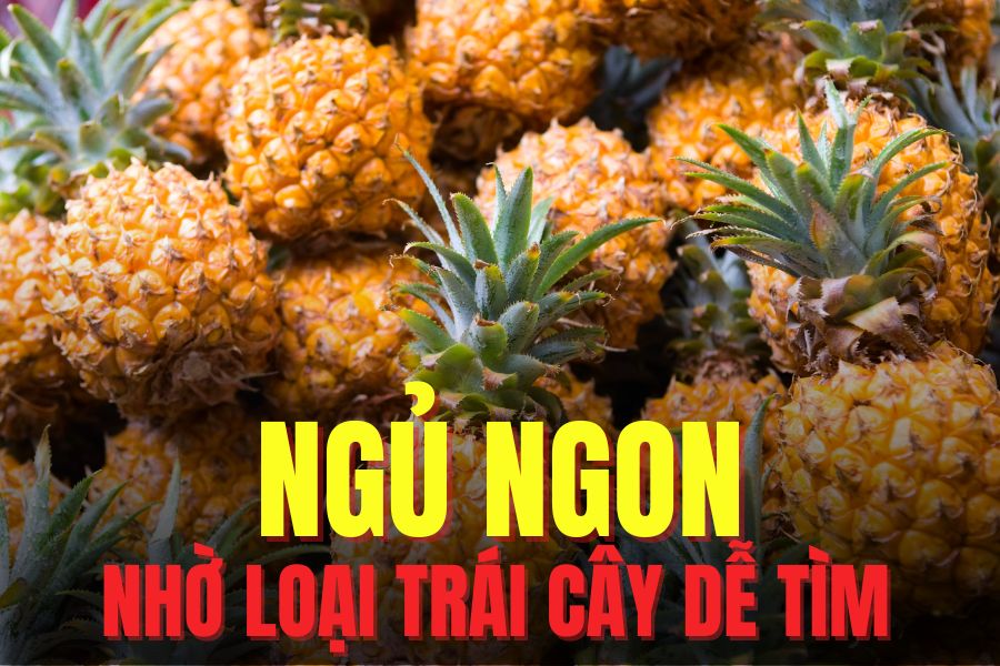 Adding pineapple to your diet appropriately helps you have a good night's sleep. Graphics: Tra My