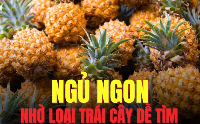 Adding pineapple to your diet appropriately helps you have a good night's sleep. Graphics: Tra My