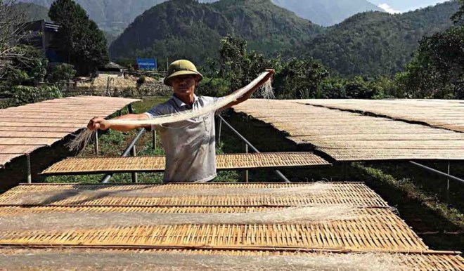 Binh Lu Agricultural and Service Cooperative (Tam Duong District) produced vermicelli to achieve 3-star OCOP. Photo: Anh Huy