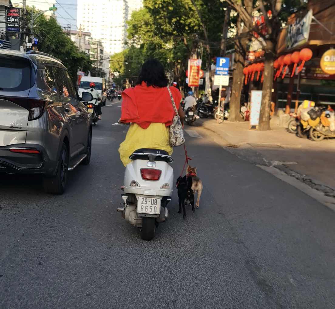 The woman riding a motorbike without a helmet, carrying a dog on Nha Trang street caused public outrage. Photo: Hien Luong