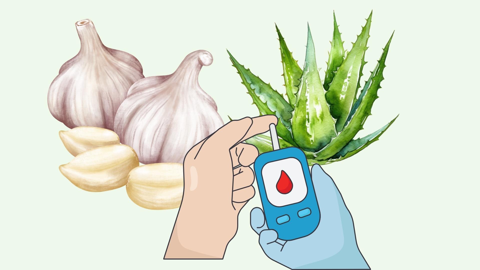 The healthy drug helps keep blood sugar stable every day. Graphics: Linh Dan