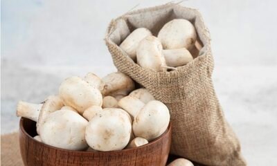 4 nhóm người nên thường xuyên ăn nấm