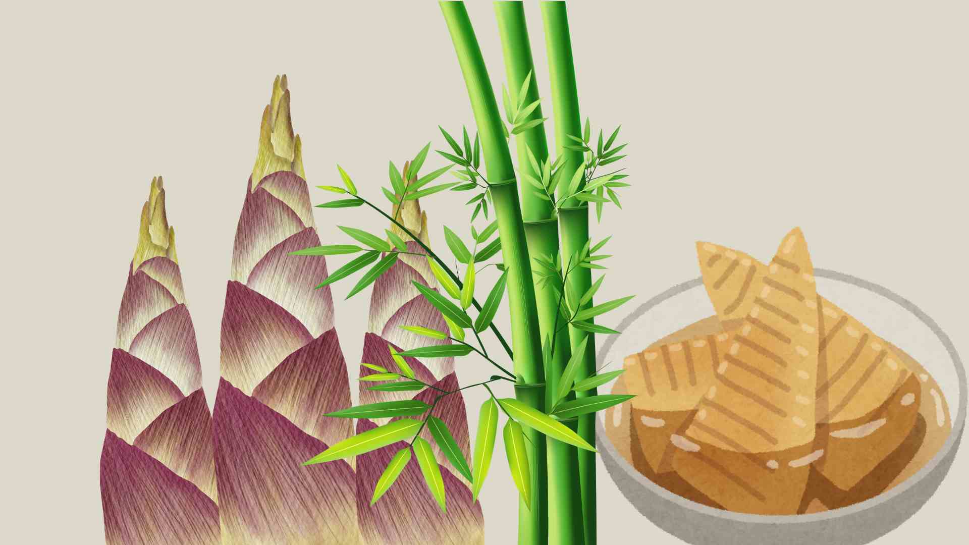 4 groups of people should absolutely not eat bamboo shoots. Graphic photo: Hoang Loc