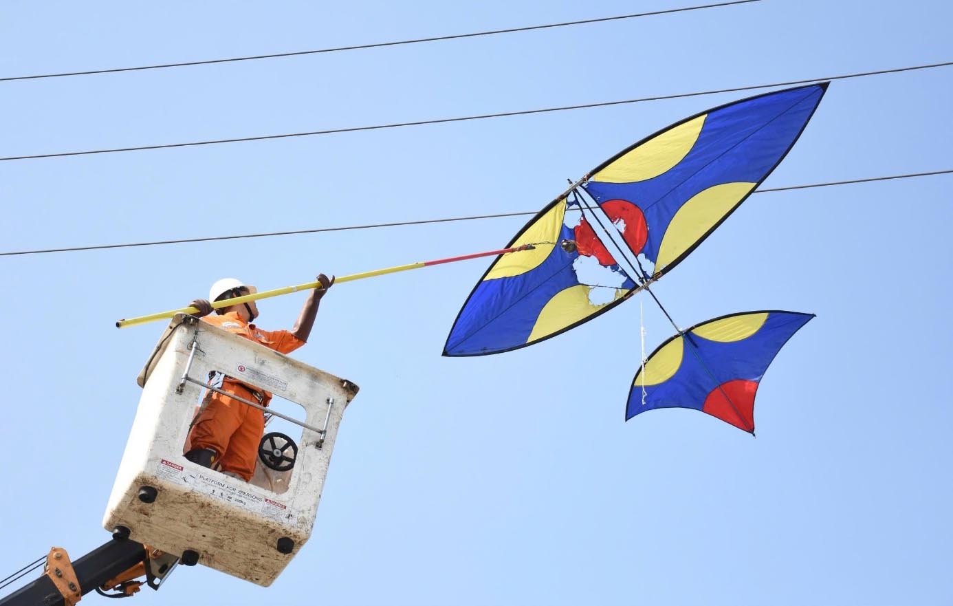 Power officers remove storks on the power grid. Photo: Phuong Thao.