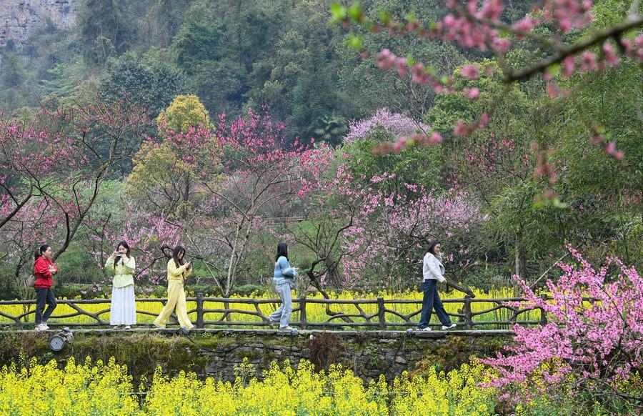 Tourists visit the autonomous districts of Tho Gia and Mieu Youyang ethnic groups, Chongqing, China on the first day of the Lunar New Year, April 4, 2025. Photo: Xinhua