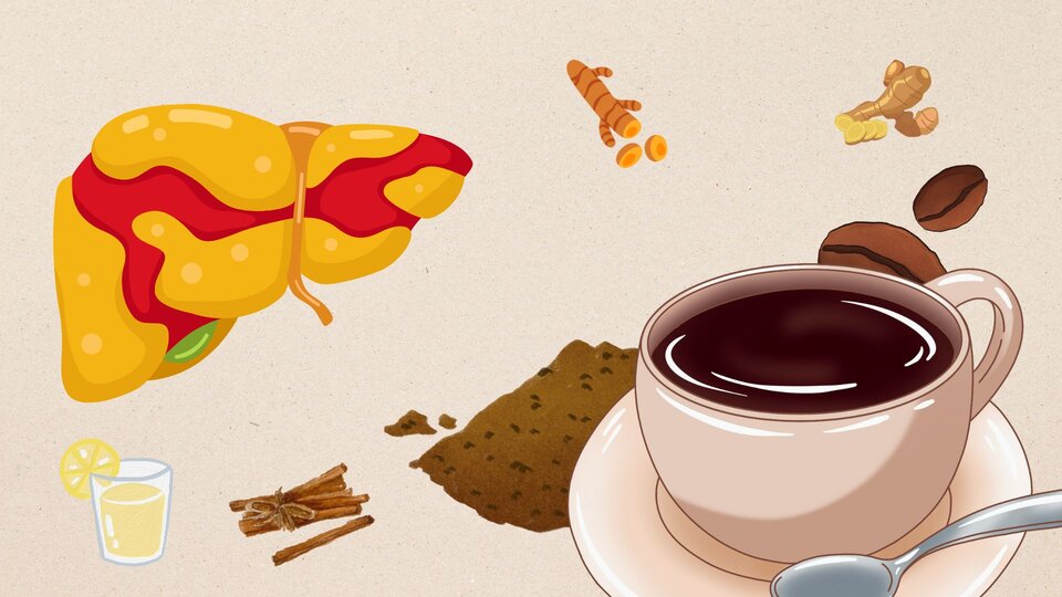 significantly reduce liver fat thanks to only small changes in a cup of coffee