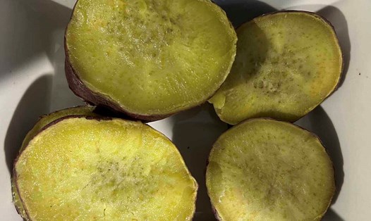 Khoai lang hấp hoặc luộc có chỉ số đường huyết thấp hơn chiên, rán. Ảnh: Kiều Vũ