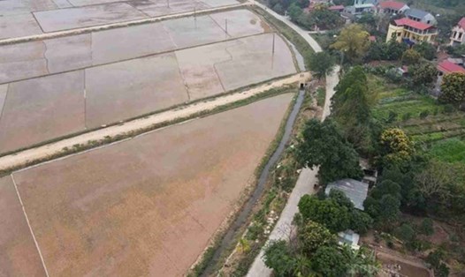Đất nông nghiệp bị thu hồi có thể được bồi thường bằng đất nông nghiệp; tiền hoặc đất có mục đích sử dụng khác với loại đất thu hồi hoặc bằng nhà ở. Ảnh minh họa: Phan Anh
