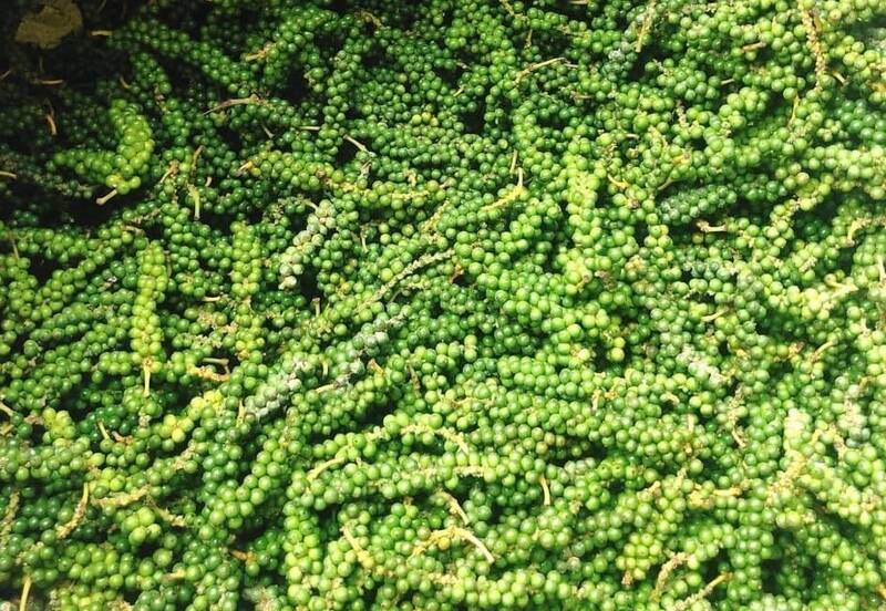 Pepper helps stabilize blood sugar. Photo: Ha May