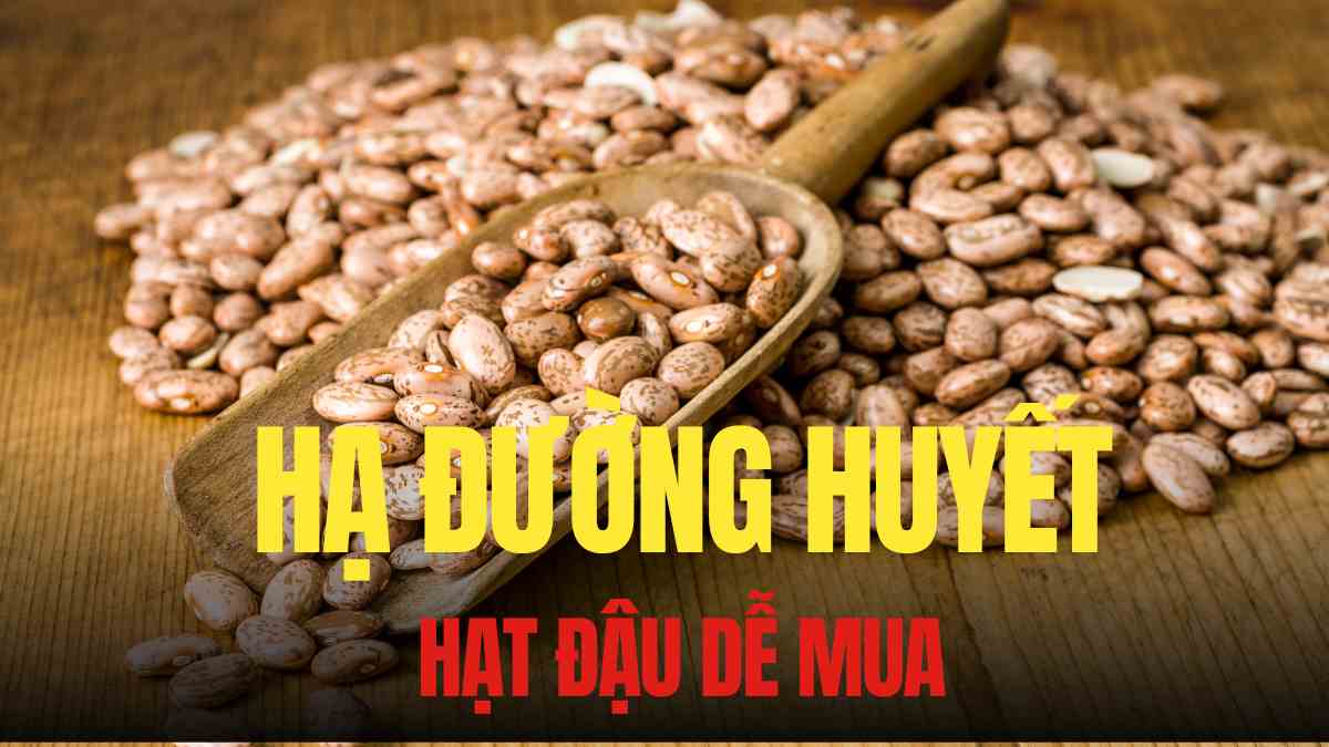 Binh pinto has a low glycemic index, helping to maintain stable blood sugar levels, supporting lowering blood sugar. Graphics: Tra My