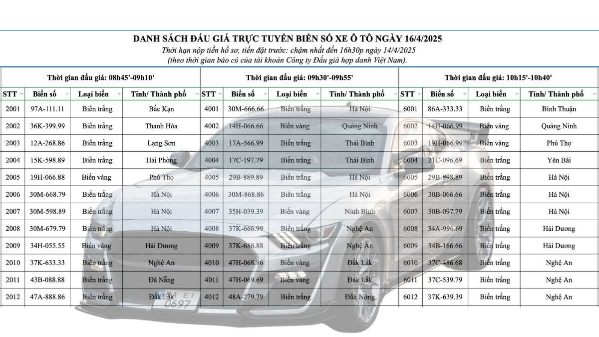 License plate auction