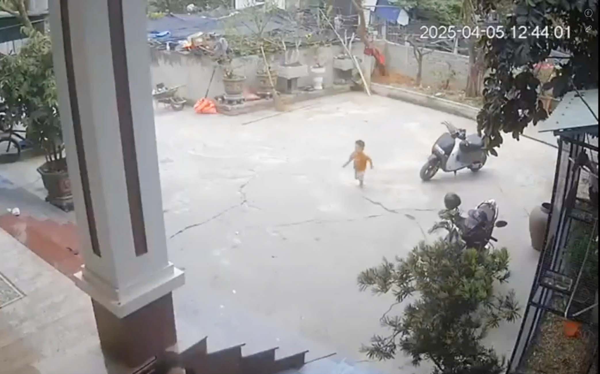 Seeing his friend fall into the pond, the 3-year-old boy immediately ran to call an adult to help him escape. Photo cut from clip