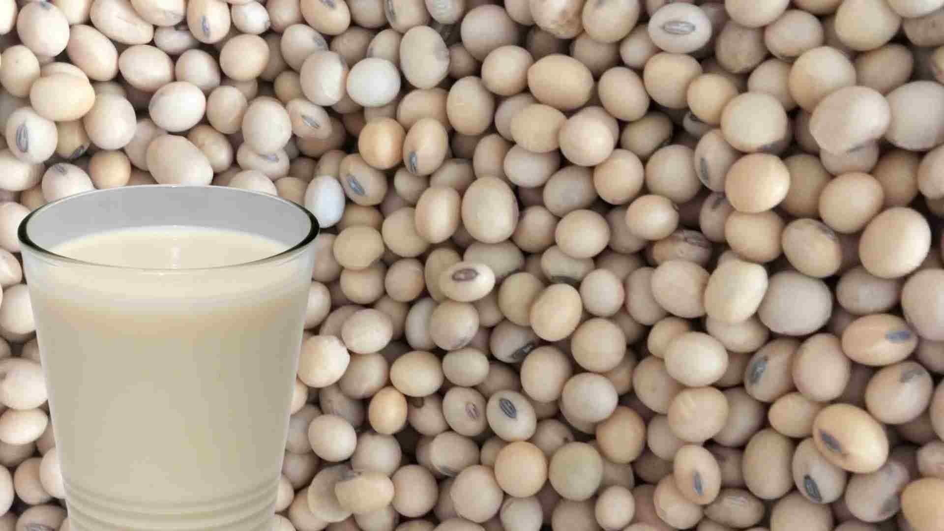 Soy milk is good for the liver. Photo: Ha May