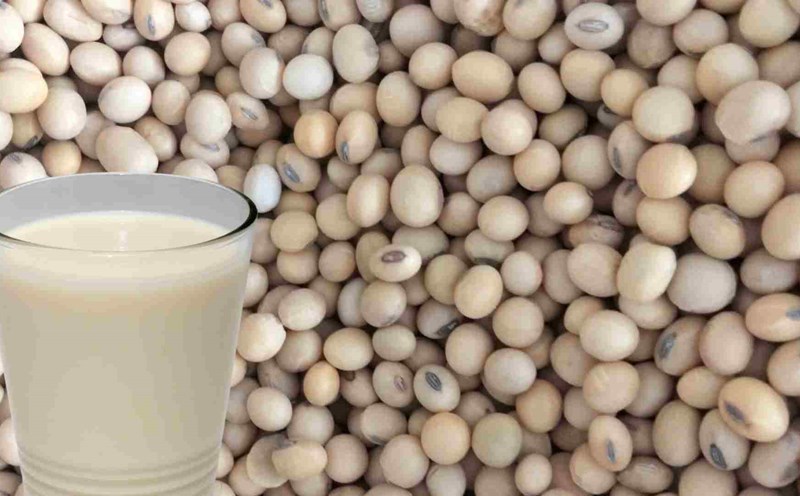 Soy milk is good for the liver. Photo: Ha May