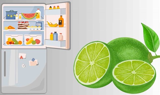 Mẹo khử mùi hôi tủ lạnh chỉ với 1 quả chanh. Ảnh đồ họa: Hoàng Lộc