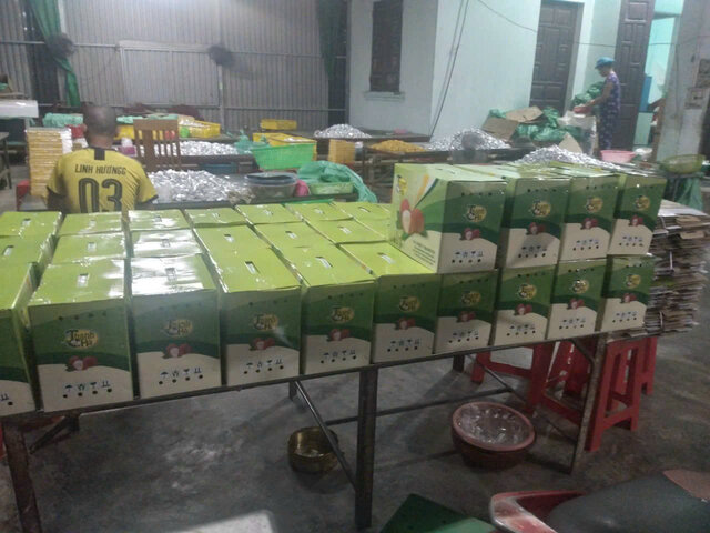 400 ha da dat chuan VietGAP va Global GAP