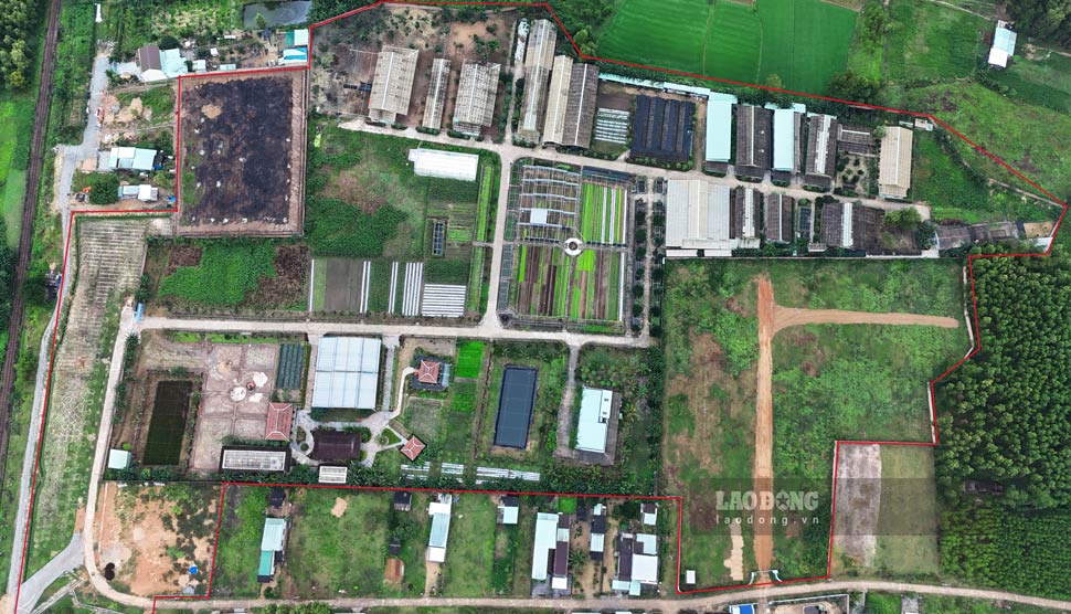 Land of the VietGap Safety Vegetable Production Project in Canh Vinh Commune (Van Canh District, Binh Dinh). Photo: Tue Lam